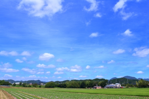 写真:求人